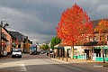 Vlammende herfstkleuren aan de Stadswaag